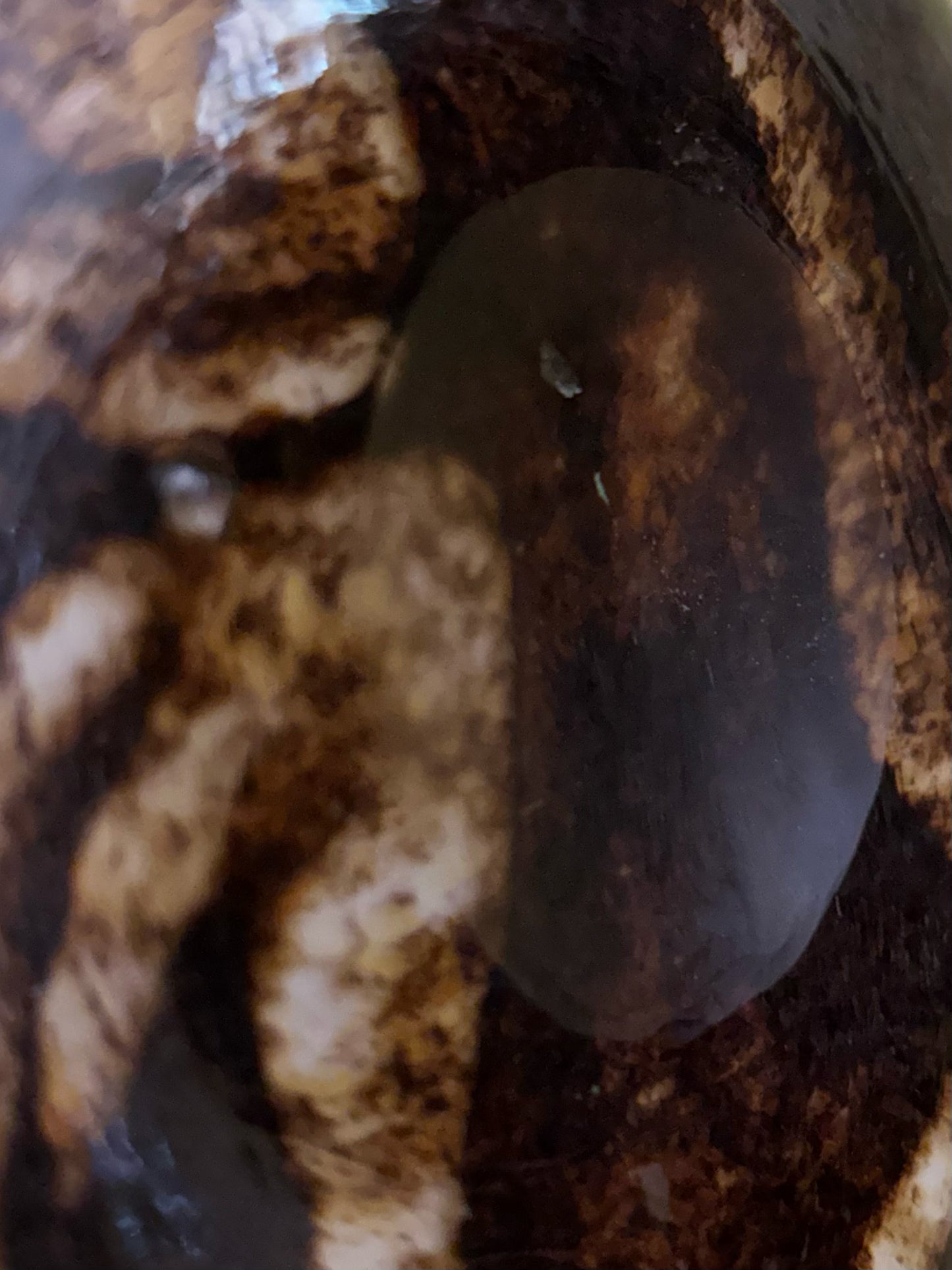 Hand-Blown Brown + White Glass Vase